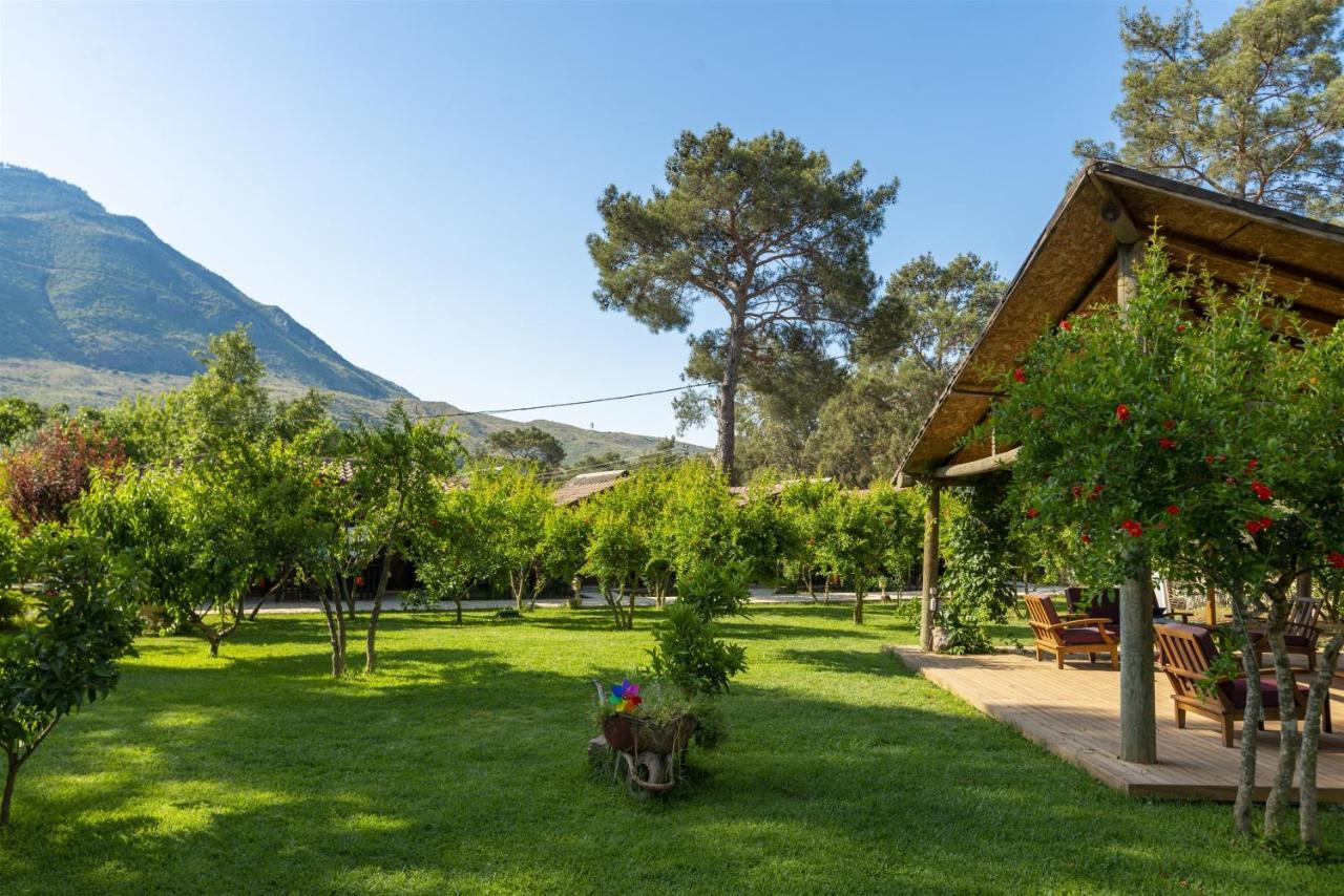 Koala Bungalows Olympos Exterior photo